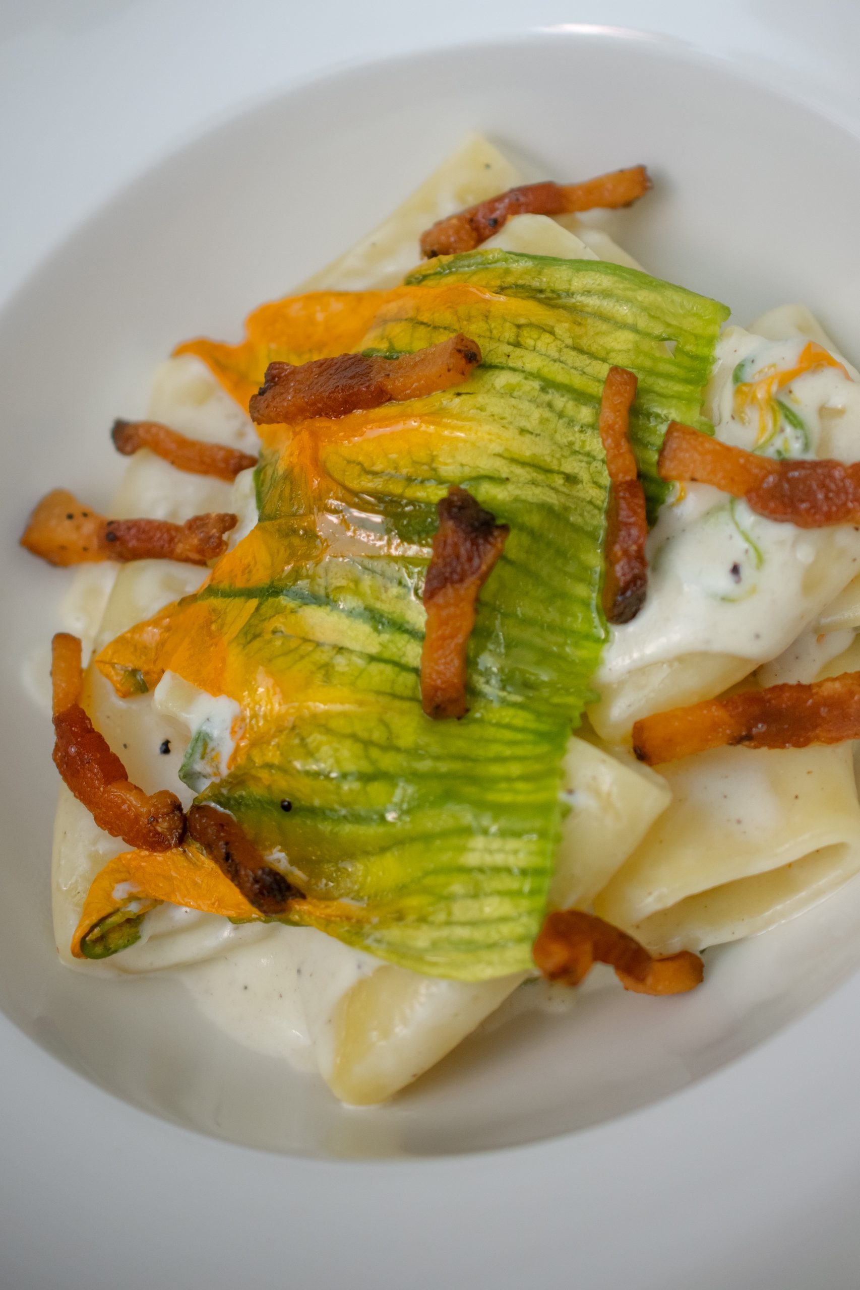paccheri cacio e fiori